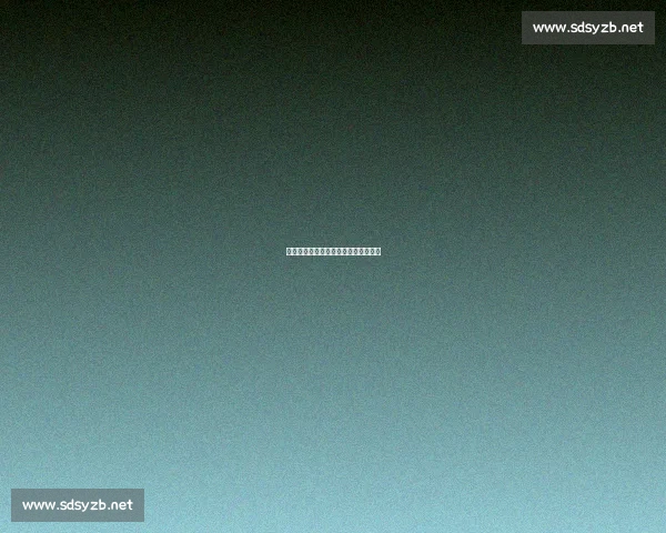 上海海港双线攻坚：补防强阵剑指双冠