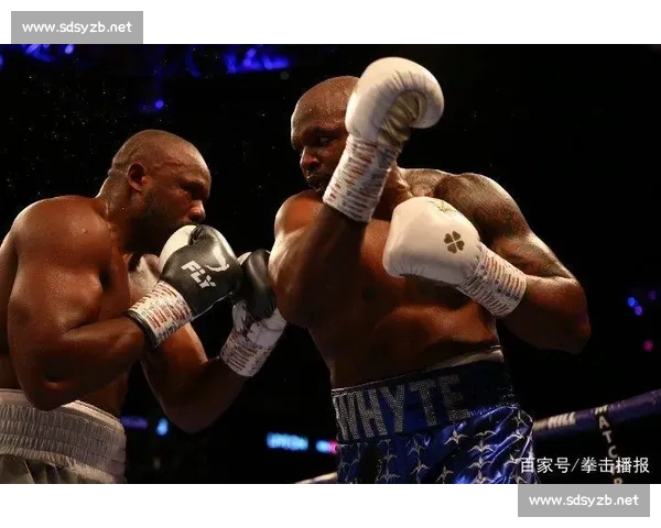 怀特再战切索拉焦点对决揭示重量级拳坛新格局悬念宿命大战全面解析